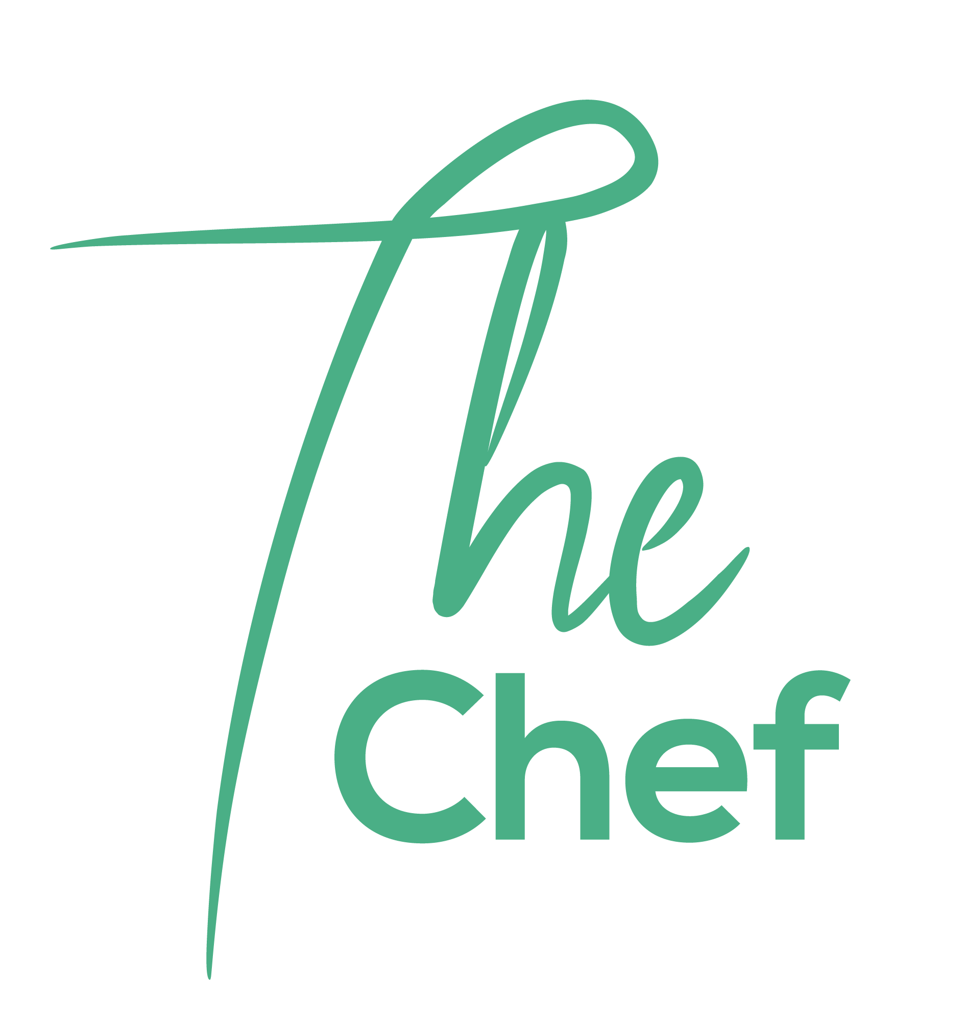 The Chief